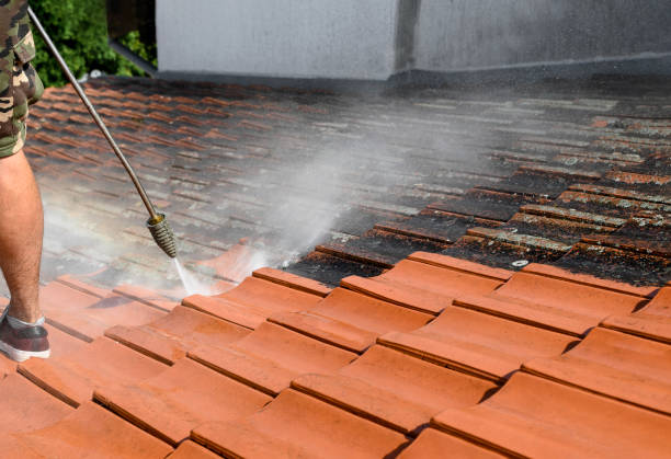 Best Power Washing Near Me  in River Road, WA