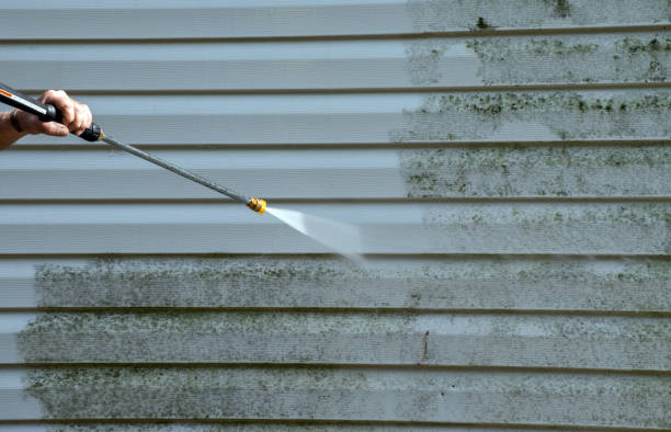 Best House Pressure Washing  in River Road, WA