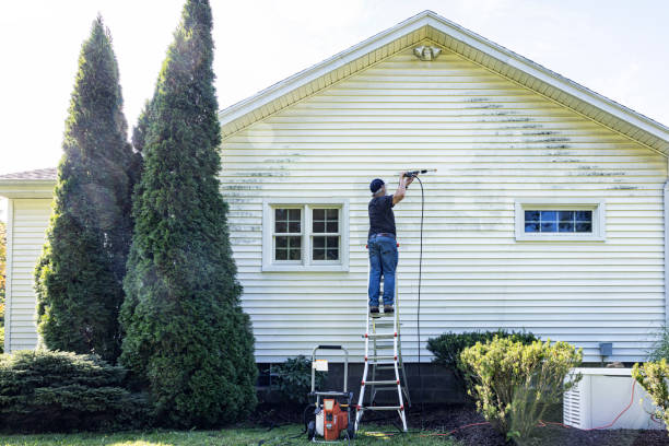 Best Sidewalk Pressure Washing  in River Road, WA