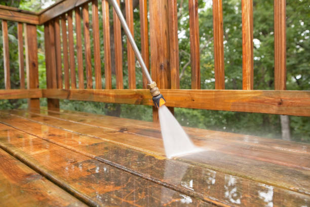 Best Pressure Washing Driveway  in River Road, WA